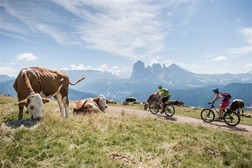 Mountain biking in South Tyrol