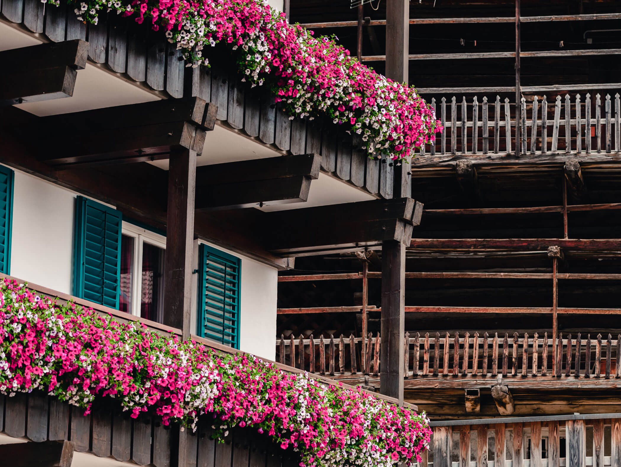 Wooden balconies with green shutters adorned with vibrant pink and white flowers on a building facade. - Hotel Kristiania
