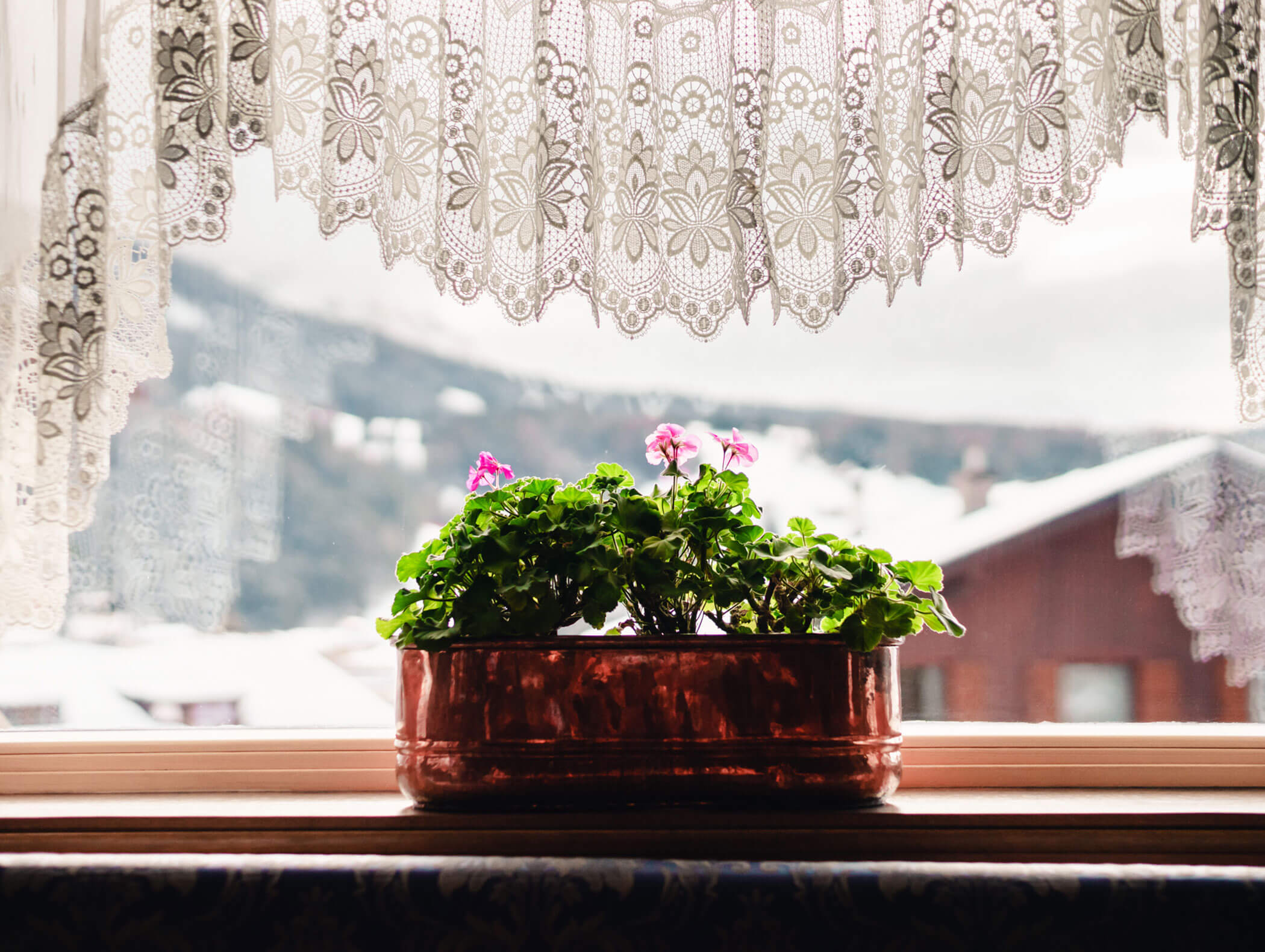A pot of pink flowers sits on a windowsill with lace curtains and a snowy village view outside. - Hotel Kristiania