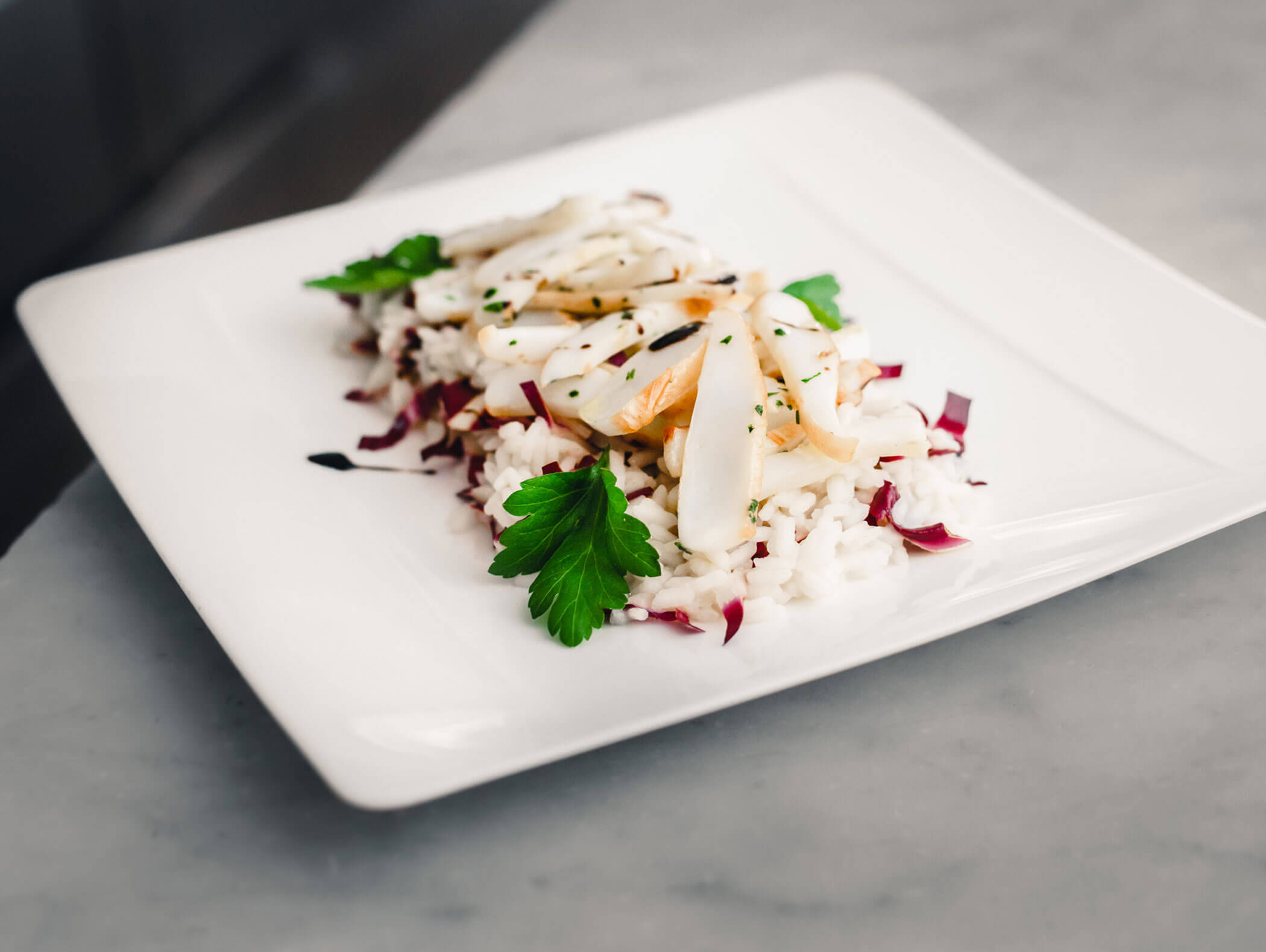 White rice topped with thinly sliced chicken and garnished with parsley on a square white plate. - Hotel Kristiania